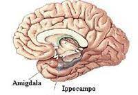 Memoria corporea, postura, emozioni